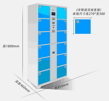 12門電子寄存柜